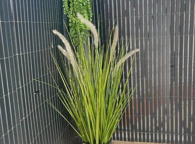 Iris 5 Minutos De La Playa, Centro De Ciudad 公寓 卡尔佩